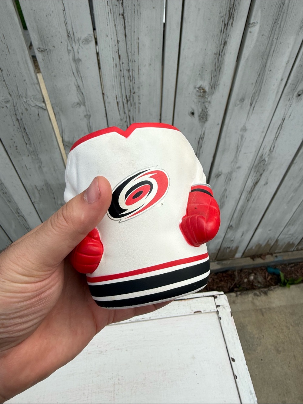 🌻 3/$12 Carolina Hurricanes Koozie